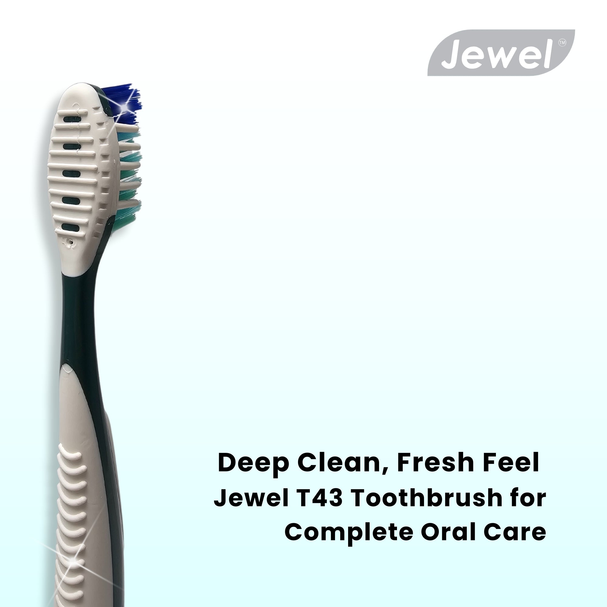 JEWEL CLEANING